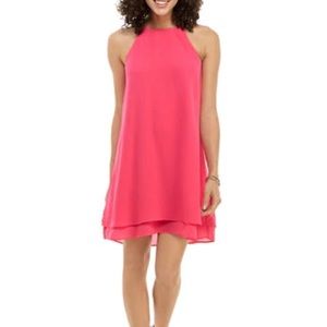 NWT Pink Rose Dress